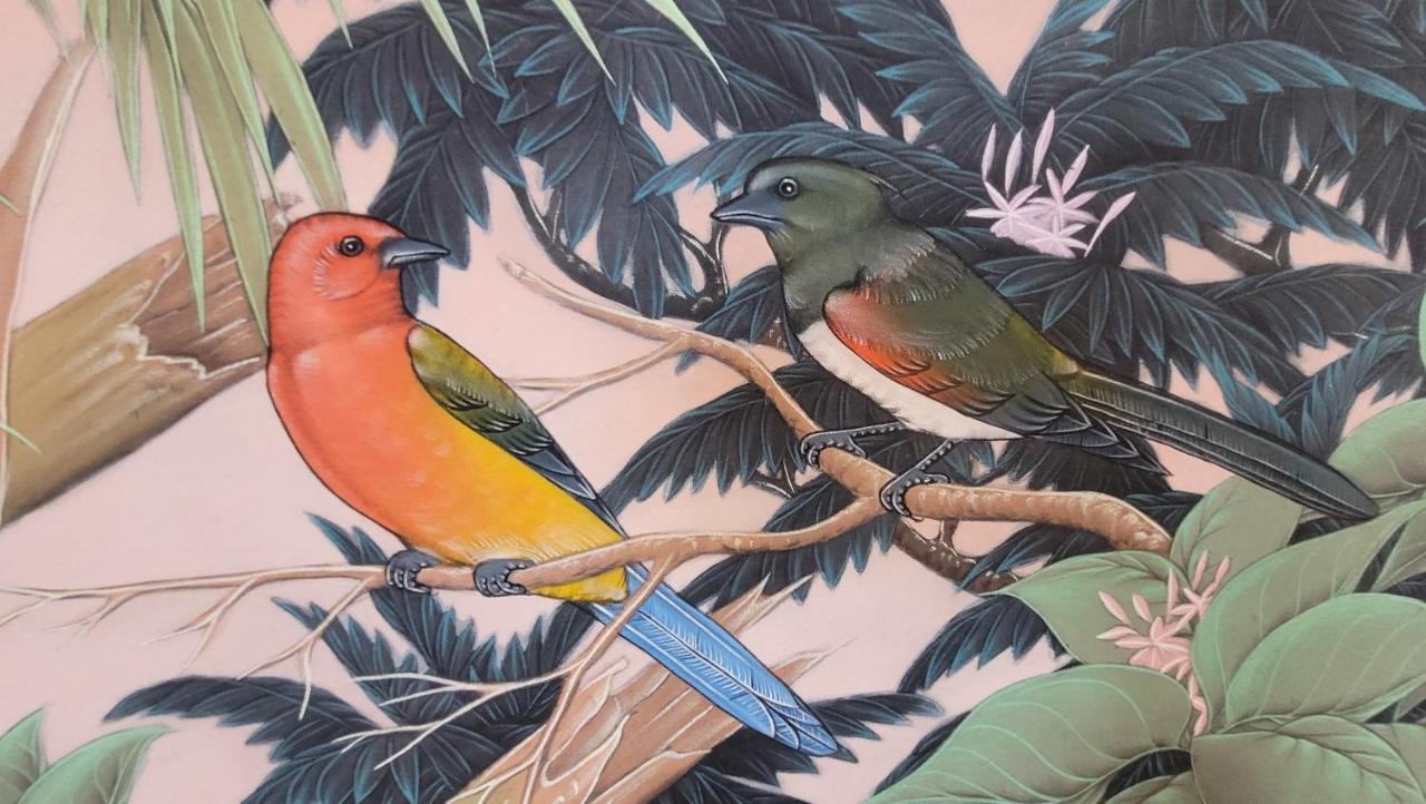 Fauna Montevideo Kültér fotó